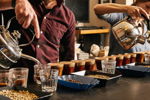 What Do We Mean When We Say Coffee Blooms? with Jamie Smith