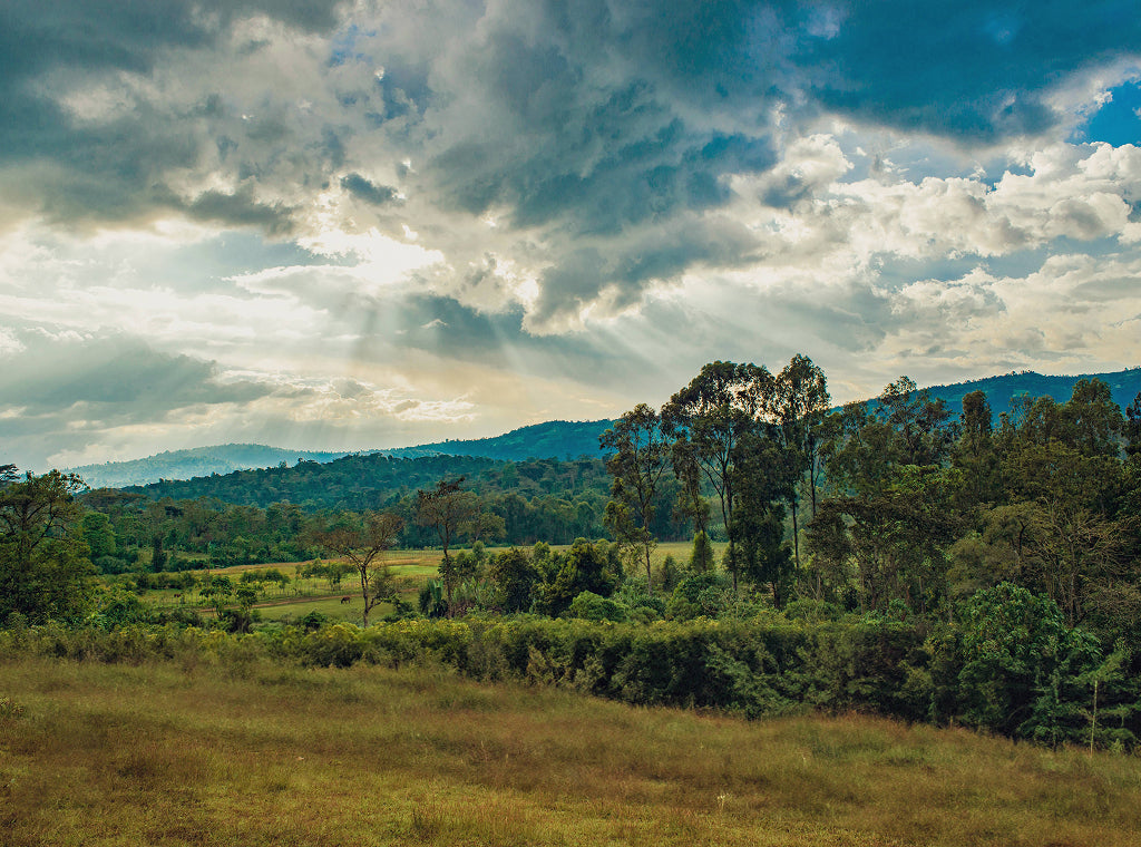 A Visit to Ethiopia with REgrow Yirga