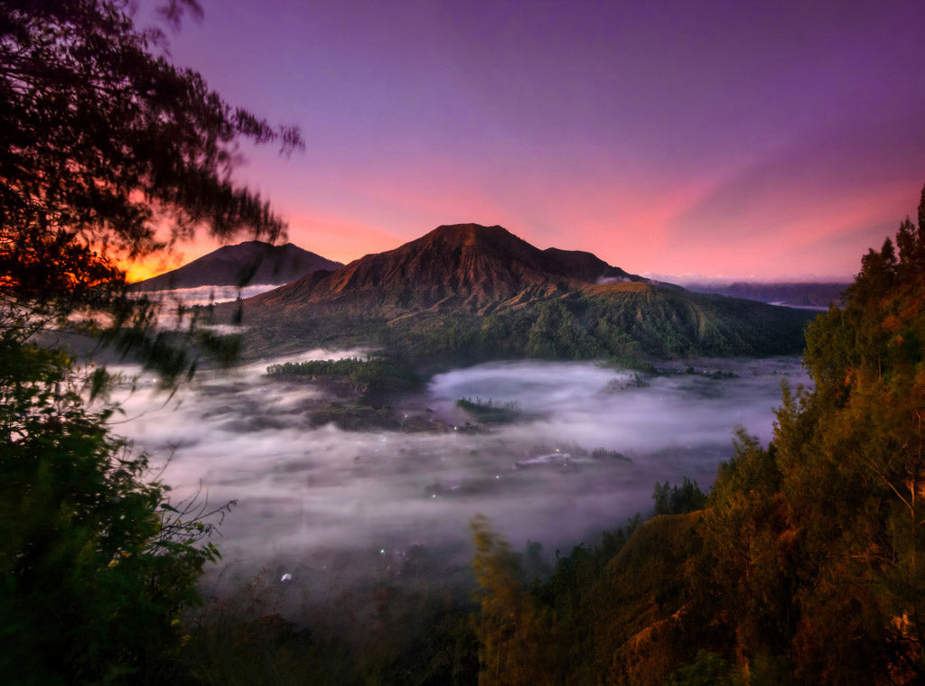Bali Blue Moon