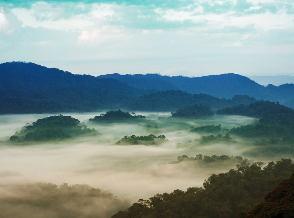 Rwanda Kotukanya
