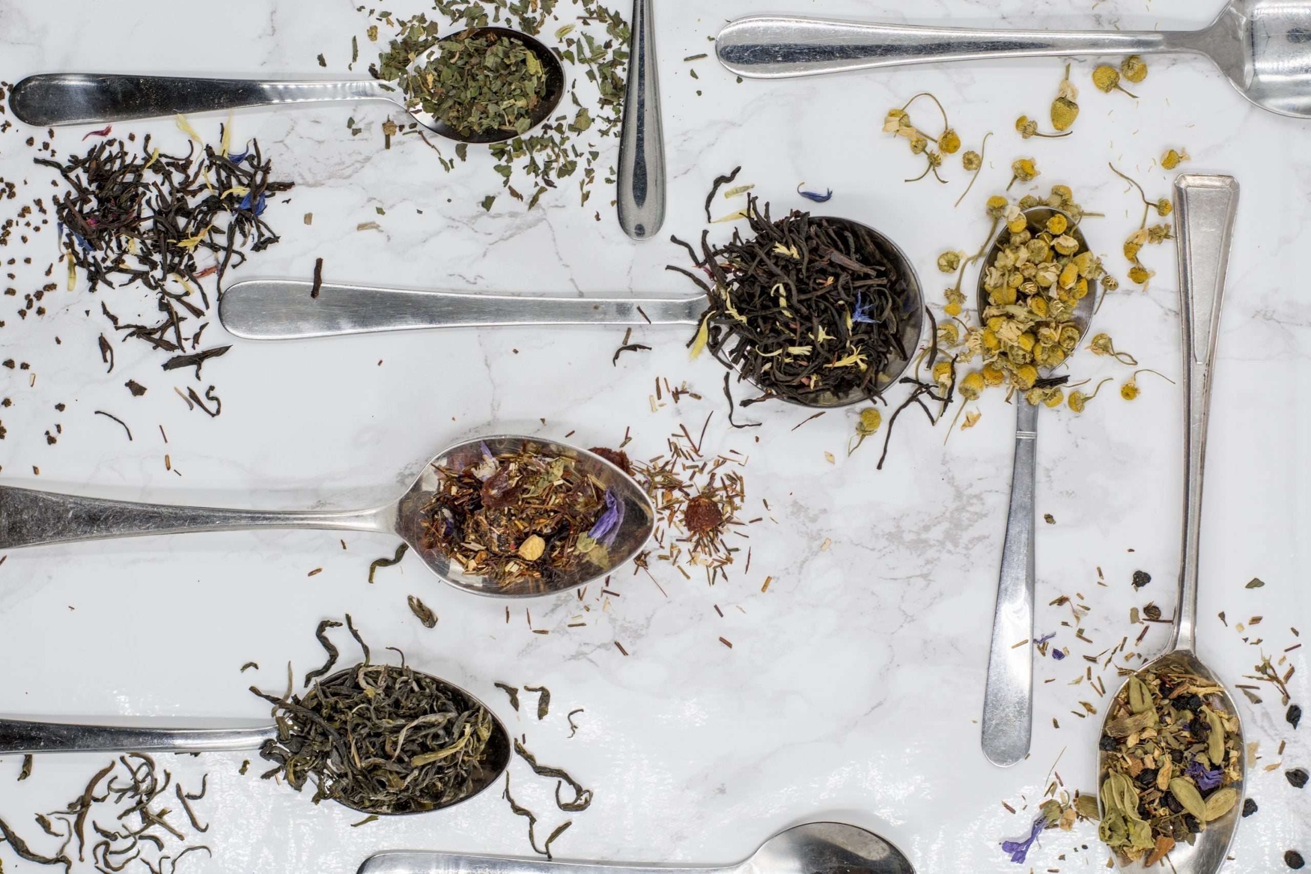 What are the different types of tea?