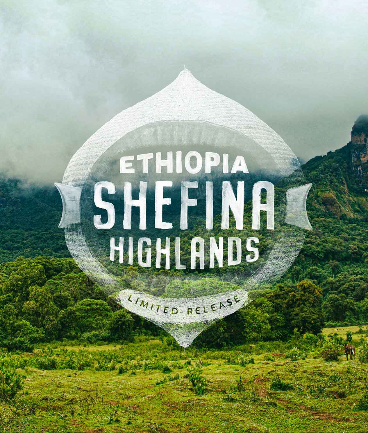 A scenic landscape poster showing green hills, misty mountains, and a large white teardrop-shaped graphic overlay with the text 'ETHIOPIA SHEFINA HIGHLANDS' and 'LIMITED RELEASE'.