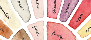 A thumbnail view of a portion of the Coffee Flavor Notes wheel.